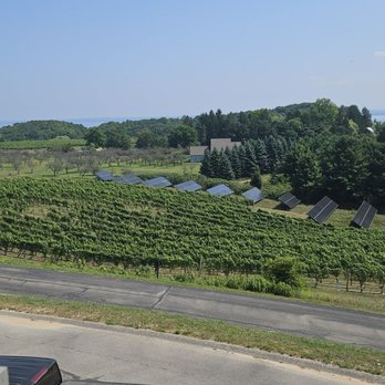 The Magic Shuttle Bus - Beautiful - Party Bus Rentals Near Me - Traverse City, Michigan