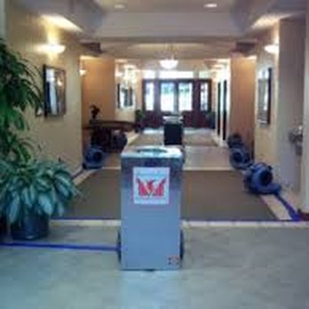 AccuDry - Water Damage Mitigation - Carpet Cleaning Near Me - Oxford, Michigan