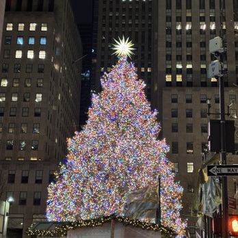 Rockefeller Center Christmas Tree - Christmas Trees Near Me - New York, New York Rockefeller Center Christmas Tree - Christmas Trees Near Me - New York, New York