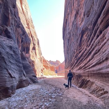 Wire Pass Trailhead - Hiking Near Me - Kanab, Utah