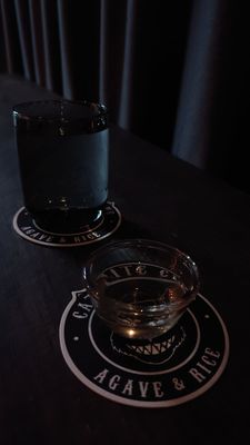 Cat Bite Club by null