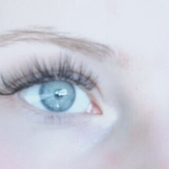 Lash Up - Eyelash Service Near Me - Dana Point, California Lash Up - Eyelash Service Near Me - Dana Point, California