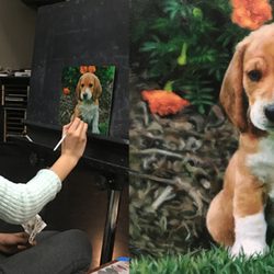 The Art Academy - Hunterdon County