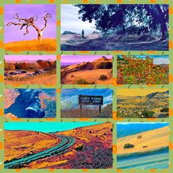 Lime Ridge Open Space - Concord - Montage of images from Lime Ridge Open Space
