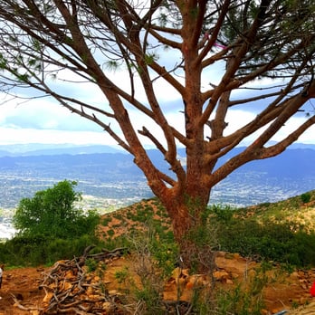 Cahuenga Peak - The Wisdom Tree - Hiking Near Me - Los Angeles, California Cahuenga Peak - The Wisdom Tree - Hiking Near Me - Los Angeles, California