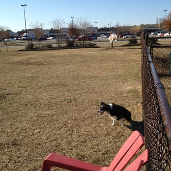 Halifax County Visitor Center Dog Run - Out little dog in the big dog area! She's a rebel! - Dog Parks Near Me - Roanoke Rapids, North Carolina