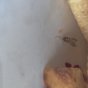 In-N-Out Burger - Poor little bug was fried to a crisp - Fast Food Near Me - Downey, California In-N-Out Burger - Poor little bug was fried to a crisp - Fast Food Near Me - Downey, California