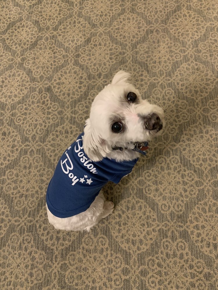 PAWSH DOG BOUTIQUE 50 Photos & 120 Reviews Pet Stores 31