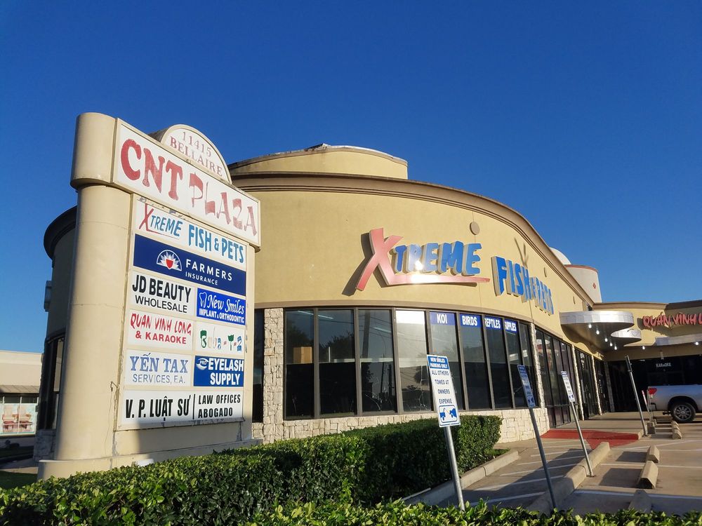 VP Luat Su - disability attorney in Houston, TX