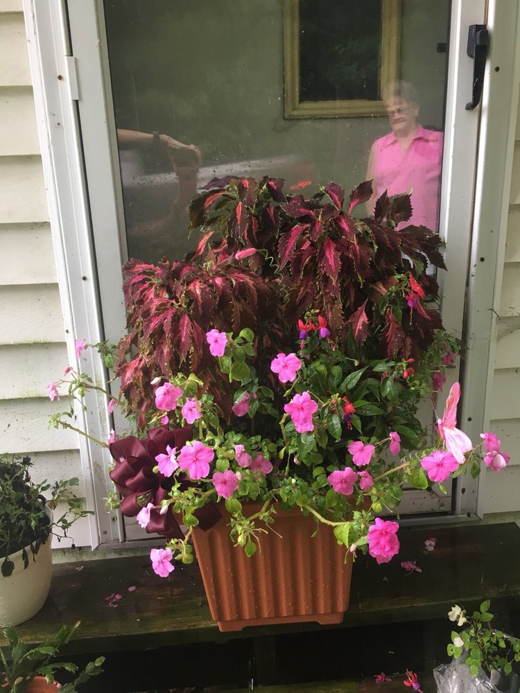 TINKERS DAM FLORIST & GIFTS Updated September 2024 501 Main St, Harrisville, Pennsylvania