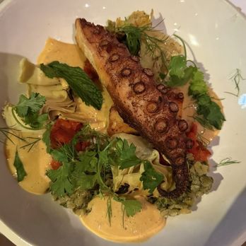Ezov - Octopus - Middle Eastern Near Me - Austin, Texas
