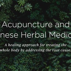 Rooting Wellness Acupuncture