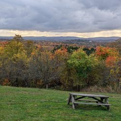 Peach Hill Park - Picnic perches are everywhere