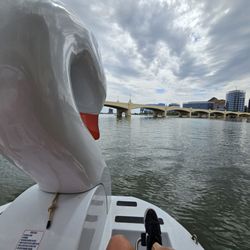 Tempe Town Lake Boat Rentals - POV