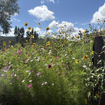 izanami - The beautiful garden - Tapas/Small Plates Near Me - Santa Fe, New Mexico