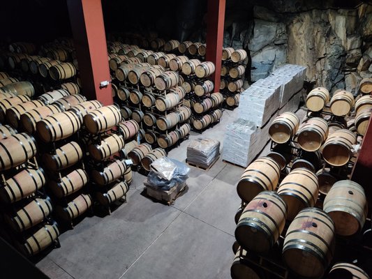 Monte Xanic Bodega Vinícola by null