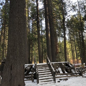 Calaveras Big Trees State Park - Giant sequoias tree stump - Parks Near Me - Arnold, California Calaveras Big Trees State Park - Giant sequoias tree stump - Parks Near Me - Arnold, California