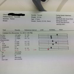 Caring Hands Veterinary Hospital - The bloodwork from my rabbit's visit to Caring Hands. Including the office visit and the lactated ringer, it came out to around $200.