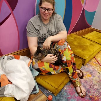 Lazy Cat Lounge - Pet Adoption Near Me - Lafayette, Indiana