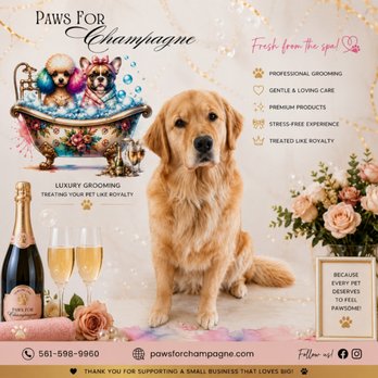 Paws For Champagne - Pet Groomers Near Me - Boynton Beach, Florida Paws For Champagne - Pet Groomers Near Me - Boynton Beach, Florida