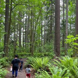 Margaret McKenny Park - Trail