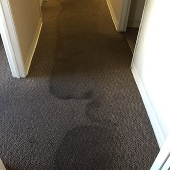 Maximum Carpet Cleaning - Before. No Bueno. - Carpet Cleaning Near Me Maximum Carpet Cleaning - Before. No Bueno. - Carpet Cleaning Near Me