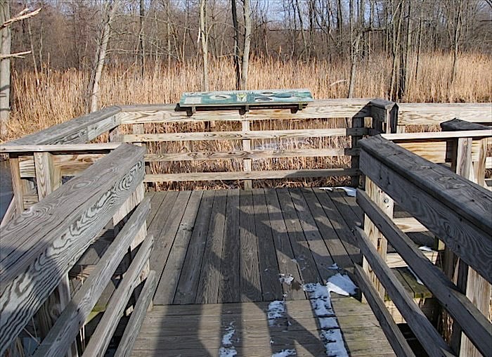 Thomas Creek Wetland Walk Logo