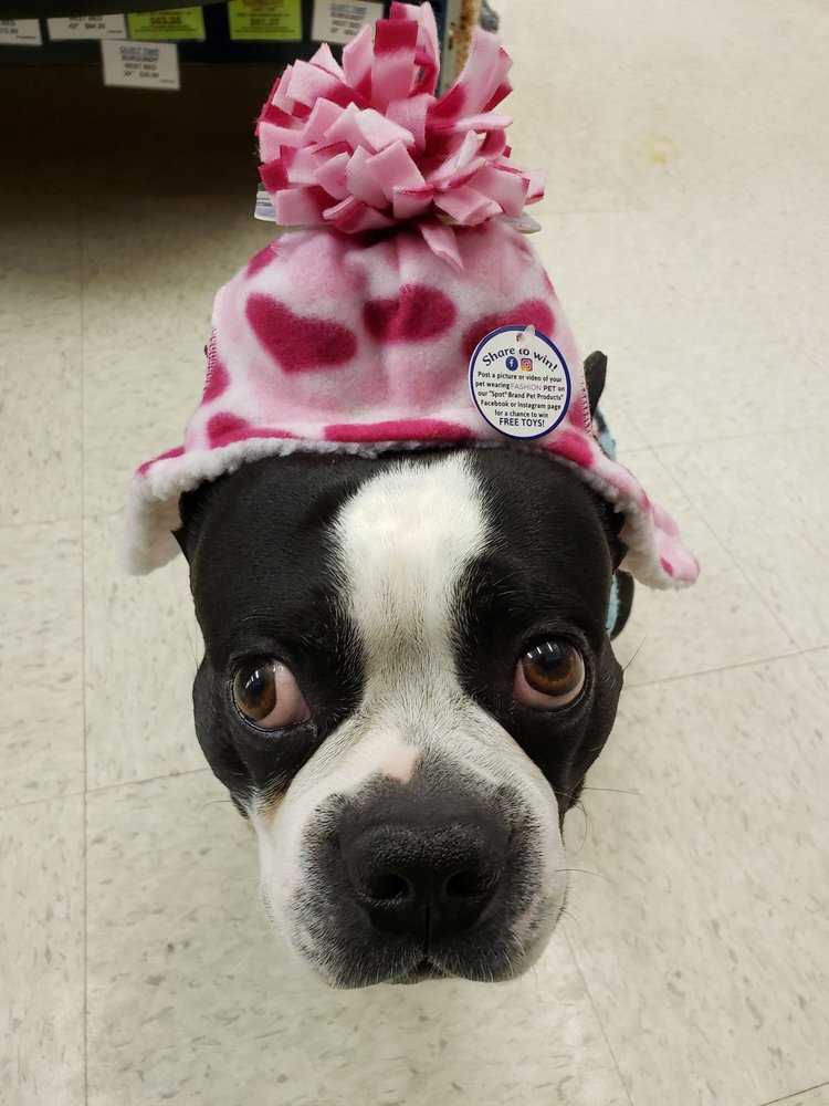 PET WORLD WAREHOUSE OUTLET Updated September 2024 12 Photos & 16