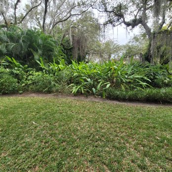 Conde Landscaping - Freshly groomed lawns at the University of Miami Ibis house! - Irrigation Near Me - Miami, Florida