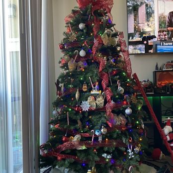 Morning Glory Farm Christmas Trees - 7ft tree. $115 and WORTH the price - Christmas Trees Near Me - Dublin, California Morning Glory Farm Christmas Trees - 7ft tree. $115 and WORTH the price - Christmas Trees Near Me - Dublin, California