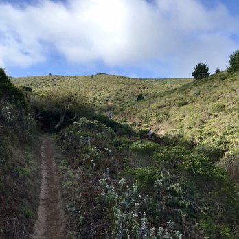 San Bruno Mountain State & County Park - The beginning of the Summit trail loop - Parks Near Me - Brisbane, California San Bruno Mountain State & County Park - The beginning of the Summit trail loop - Parks Near Me - Brisbane, California