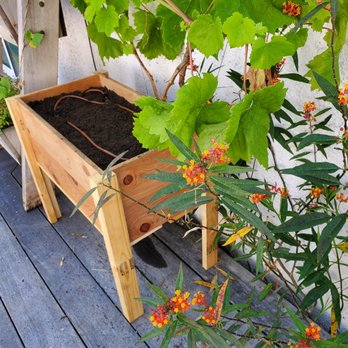 Nick House Gardening - a wooden planter on a porch - Gardeners Near Me - Los Angeles, California Nick House Gardening - a wooden planter on a porch - Gardeners Near Me - Los Angeles, California