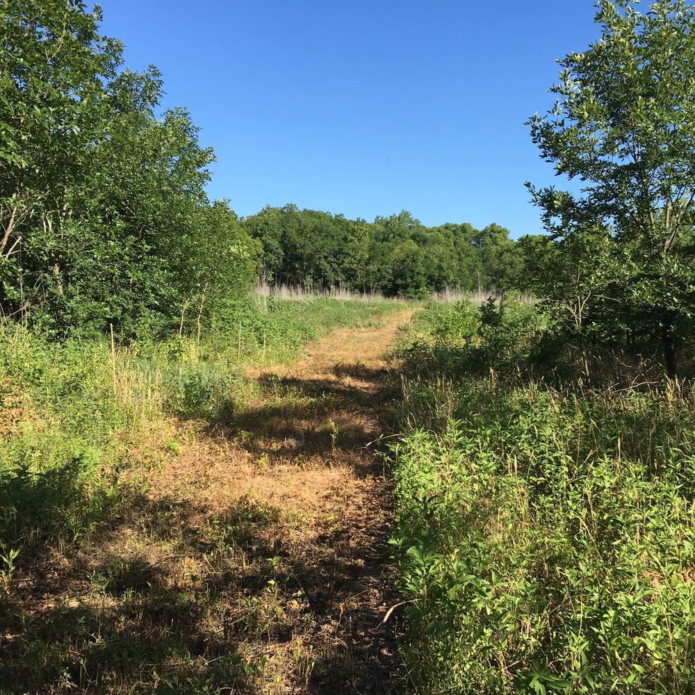 Trinity River Audubon Center - Another trail... - Parks Near Me - Dallas, Texas Trinity River Audubon Center - Another trail... - Parks Near Me - Dallas, Texas