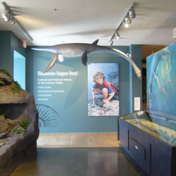 Courtenay & District Museum