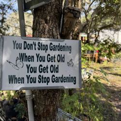 Jean's Magic Garden