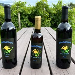 Whaleback Vineyard