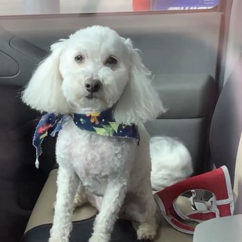 Wishbone Pet Care - Pet Groomers Near Me - Missouri City, Texas