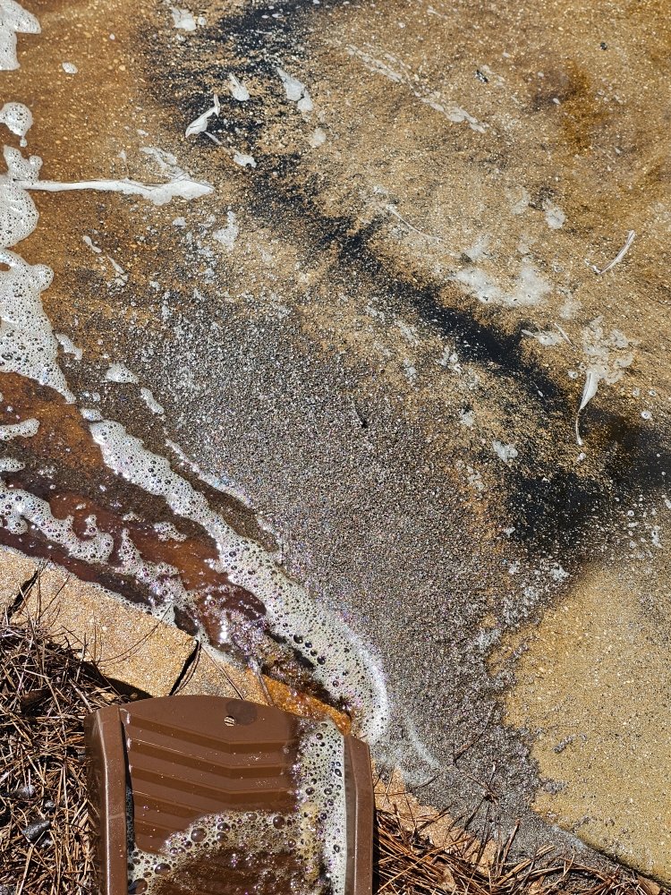 Slide of Roof Shield of South Alabama