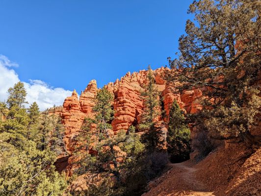 Dixie National Forest by null