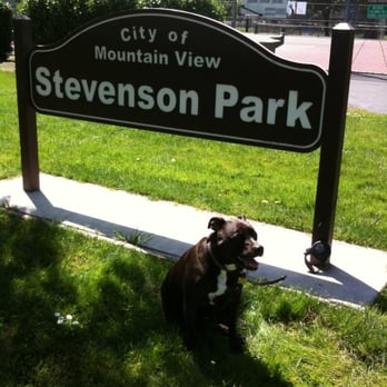 Stevenson Park - Mamba at Stevenson Park - Parks Near Me - Mountain View, California