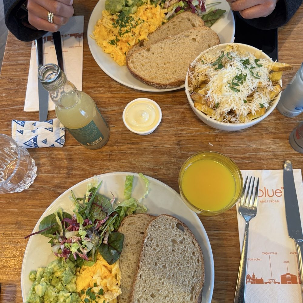 Blue Amsterdam - Avocado egg toast and fries - Bars Near Me - Amsterdam, New Hampshire Blue Amsterdam - Avocado egg toast and fries - Bars Near Me - Amsterdam, New Hampshire