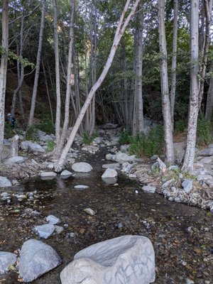 North Etiwanda Preserve by null