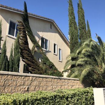 Lucero Tree Service - Tree Services Near Me Lucero Tree Service - Tree Services Near Me
