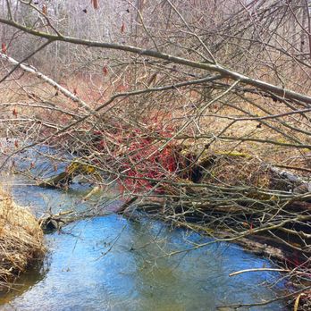 Bruce's Mill Conservation - Always nice to have little streams. - Public Services & Government Near Me - Stouffville, Ontario Bruce's Mill Conservation - Always nice to have little streams. - Public Services & Government Near Me - Stouffville, Ontario