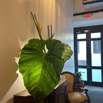 352 Guest House - Entrance. - Guest Houses Near Me - San Juan, Puerto Rico