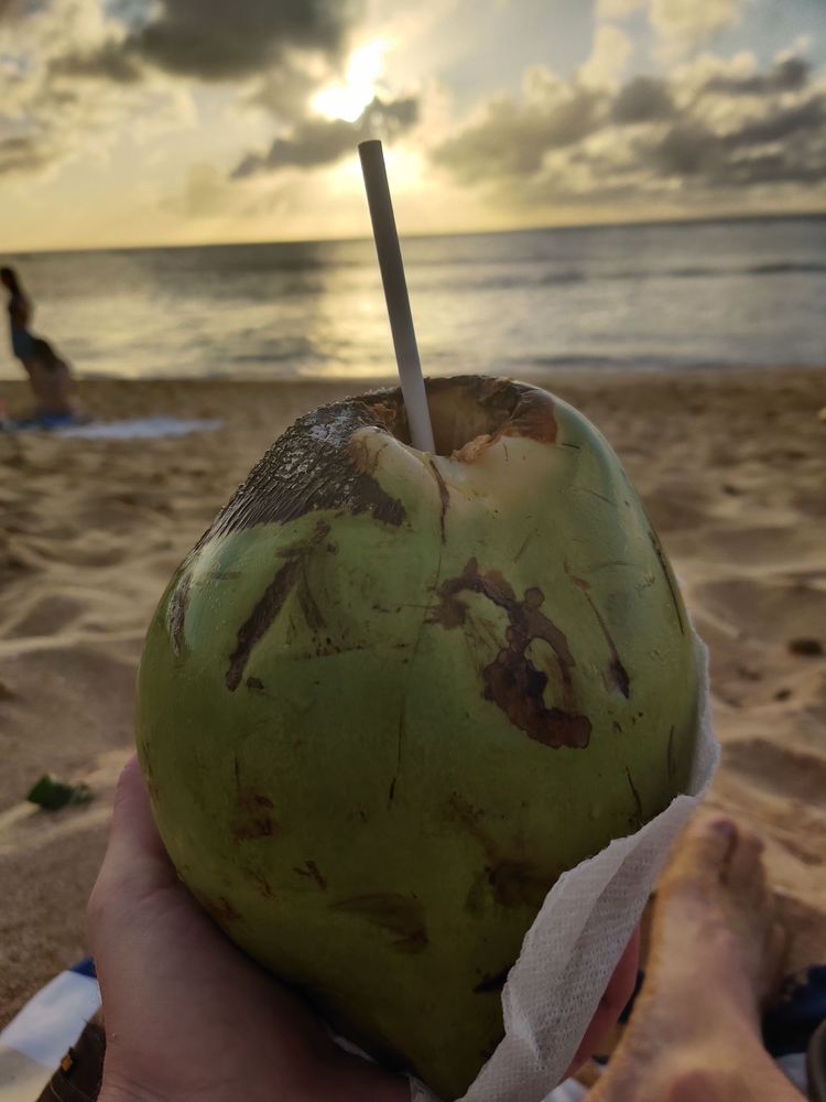 COCO HUT Updated September 2024 Pupukea, Hawaii Food Trucks Yelp