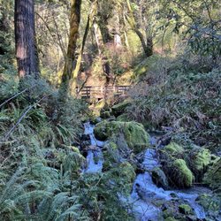 Alfred A. Loeb State Park - Alfred Loeb State Park