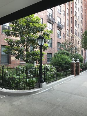 London Terrace by null