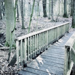 Boniburger Wald