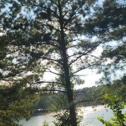 Lake Lanier Islands Boat Rental